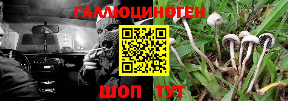 где купить наркотик  Вход с VPN  Камень-на-Оби  Псилоцибиновые грибы мухоморы 