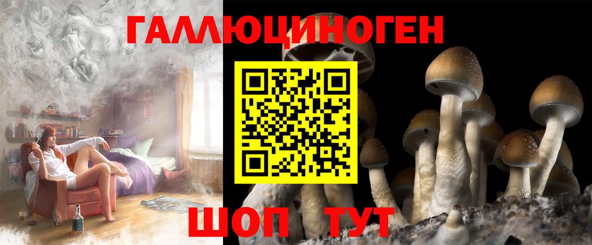 Псилоцибиновые грибы Magic Shrooms Камень-на-Оби